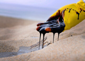 Reuters: Морской экспорт топлива из России в сентябре упал на 17% после ударов дронов