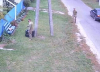 Сеть облетело видео с «мобилизацией» кота: В ТЦК прокомментировали