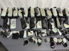 Украинка пыталась вывезти за границу под капотом автомобиля почти $1 млн | ВИДЕО