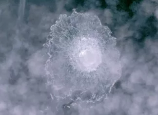 В Италии отменили решение о выдаче Германии украинца, подозреваемого в подрыве «Северных потоков»