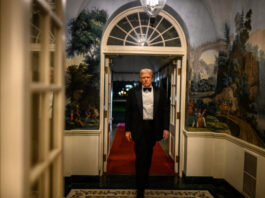 NBC: Трамп одобрил новый план мира между РФ и Украиной