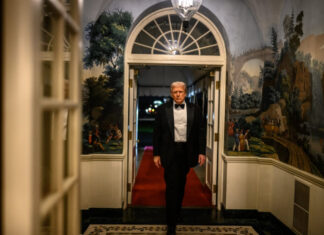 NBC: Трамп одобрил новый план мира между РФ и Украиной