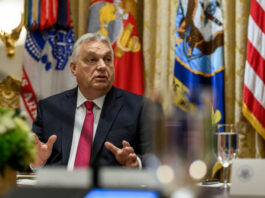 Орбан готовит новый псевдореферендум и пугает «украинской военной мафией»