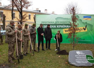 В Украине высадили миллиардное «дерево Зеленского»