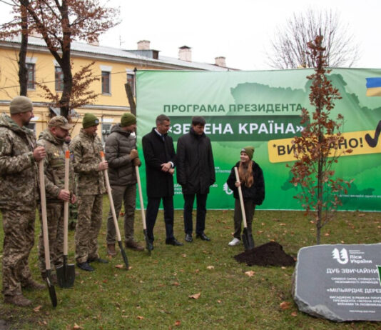 В Украине высадили миллиардное «дерево Зеленского»