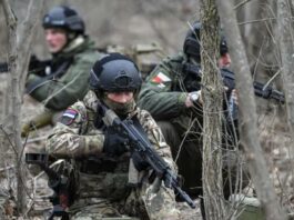 Журналистка: Россияне сумели пробраться на окраины Гуляйполя