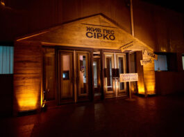 Гадание на картах, песни и импровизация на сцене: как прошла премьера мюзикла «Жил пес Сирко»