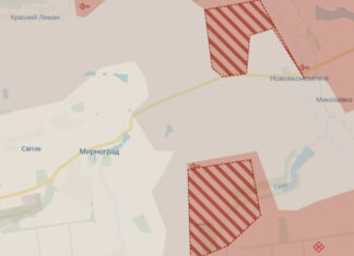 Оккупанты захватили три села возле Покровска и Гуляйполя