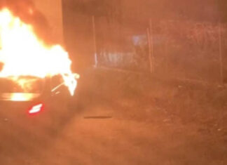 Подозреваемые в убийстве украинца в Вене, который может быть сыном заместителя Терехова, задержаны