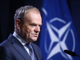 Премьер Польши намекнул, что Навроцкий участвовал в мероприятии, оплаченном россиянами