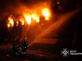 Россияне атаковали гражданское турецкое судно в порту Черноморск | ВИДЕО