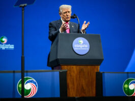 Трамп говорит, что РФ «согласилась» на его мирный план, а Зеленский даже «не читал»