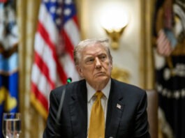 Трамп решил продолжить переговоры о мире после «нет» Путина