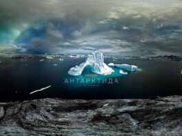 Украинский фильм Антона Птушкина теперь можно посмотреть на Netflix