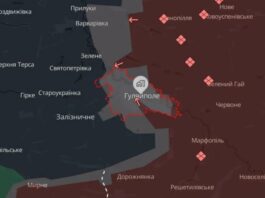 Заявления Путина напоминают ситуацию с Купянском: В Силах обороны опровергли захват Гуляйполя