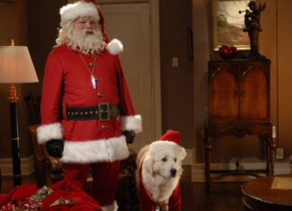 3 зимних фильма о собаках, которые стоит посмотреть с детьми