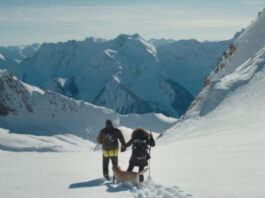 4 интересных фильма, где герои попадают в снежный плен