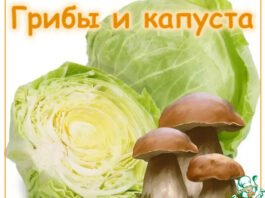 Грибы и капуста. Суп. Грибная солянка
