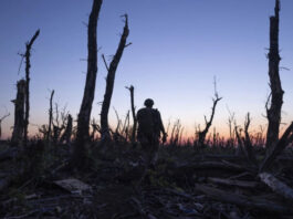 «2000 метров до Андреевки» Мстислава Чернова получил премию Гильдии операторов США