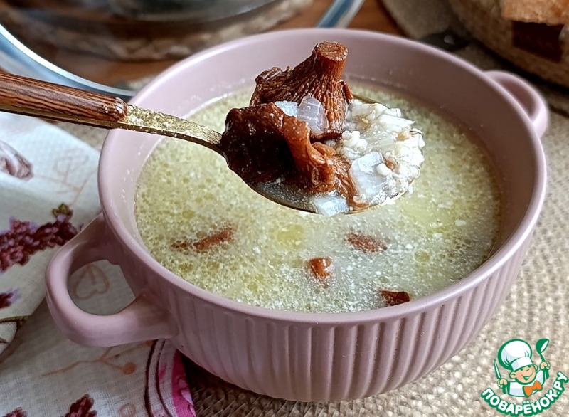 Суп с лисичками и резанным овсом