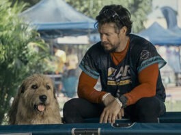 Эти 5 фильмов о животных вызовут больше эмоций, чем любая мелодрама