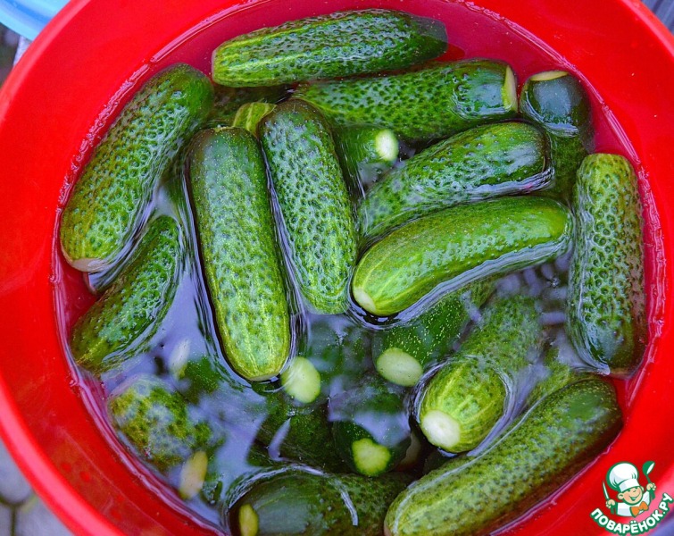 Огурцы с хреном и кориандром