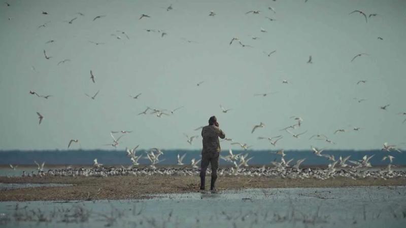 Премьеры ОМКФ-2026: 10 фильмов, которые стоит посмотреть на Одесском кинофестивале