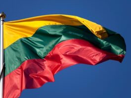 В Литве собрали более 1 млн евро на дроны-перехватчики для Украины