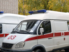 В Подмосковье подозрение на вспышку оспы обезьян, госпитализированы пять человек
