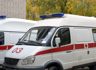 В Подмосковье подозрение на вспышку оспы обезьян, госпитализированы пять человек