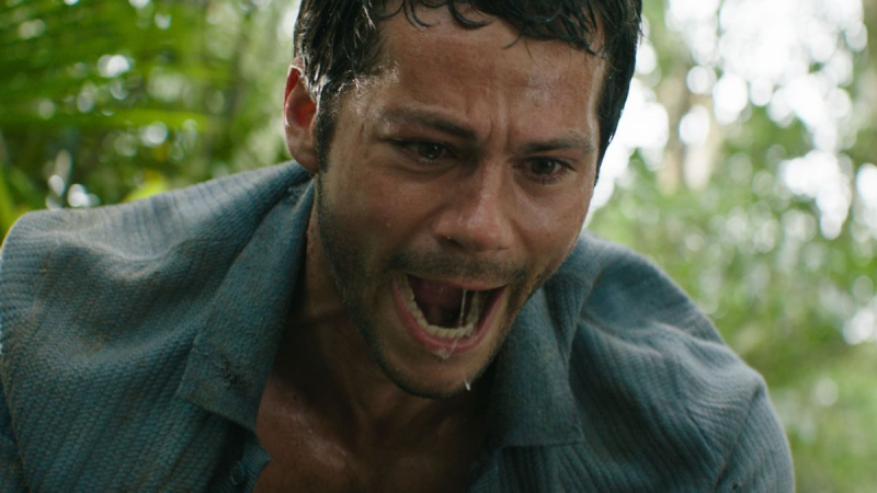 7 веских причин посмотреть новый фильм ужасов "Помогите"