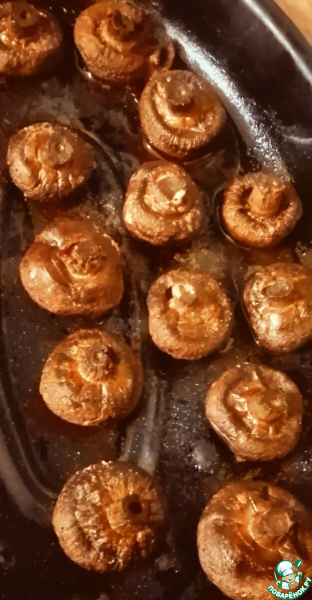 Грибная костра