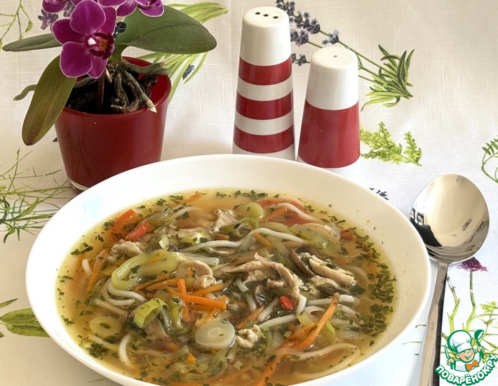 Куриный суп с овощами и лапшой