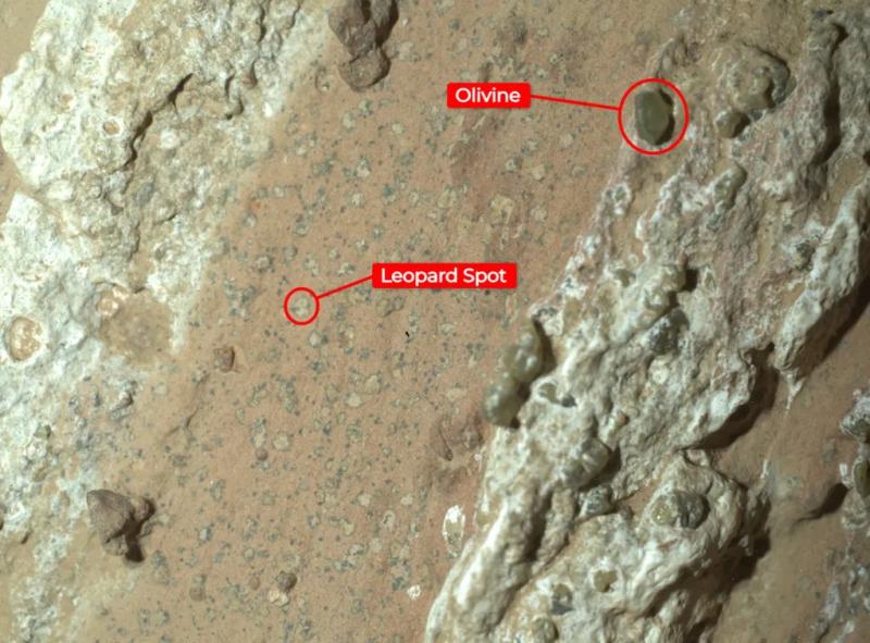 Марсоход NASA обнаружил «самые четкие признаки жизни, которые когда-либо находили на Марсе»