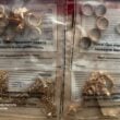 На Харьковщине сотрудница морга обворовывала погибших украинских военных | ФОТО