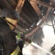 Россия ударила по Украине ракетами и дронами. В Киеве много погибших | ФОТО