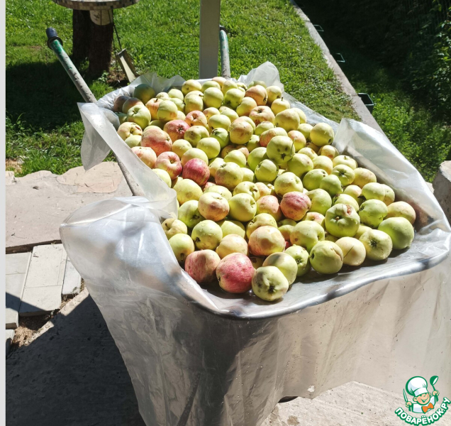 Сидр &ldquo;Сиеста&rdquo;