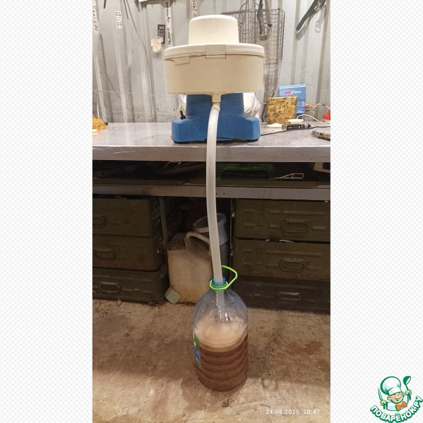 Сидр &ldquo;Сиеста&rdquo;