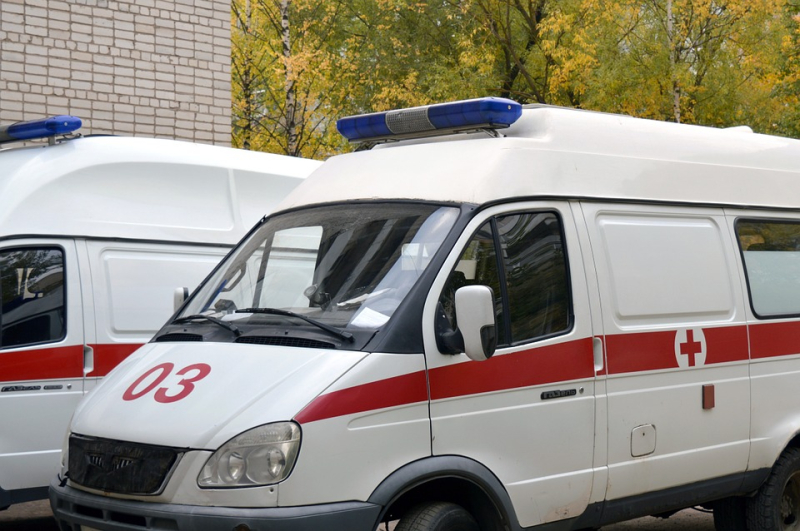 В Подмосковье подозрение на вспышку оспы обезьян, госпитализированы пять человек