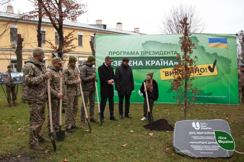 В Украине высадили миллиардное «дерево Зеленского»