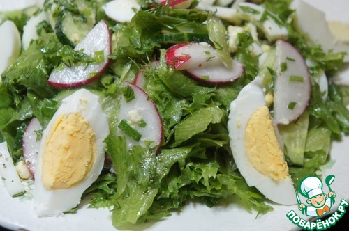 Весенний зеленый салат