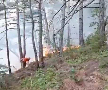 Возле «дворца Путина» четыре дня тушили пожар, возникший после падения дрона ВСУ | ВИДЕО
